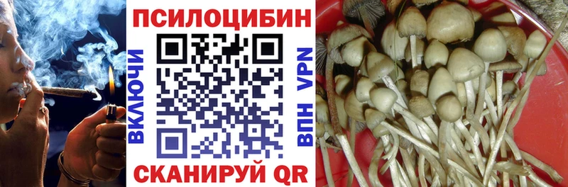 Псилоцибиновые грибы GOLDEN TEACHER OMG ТОР Тырныауз